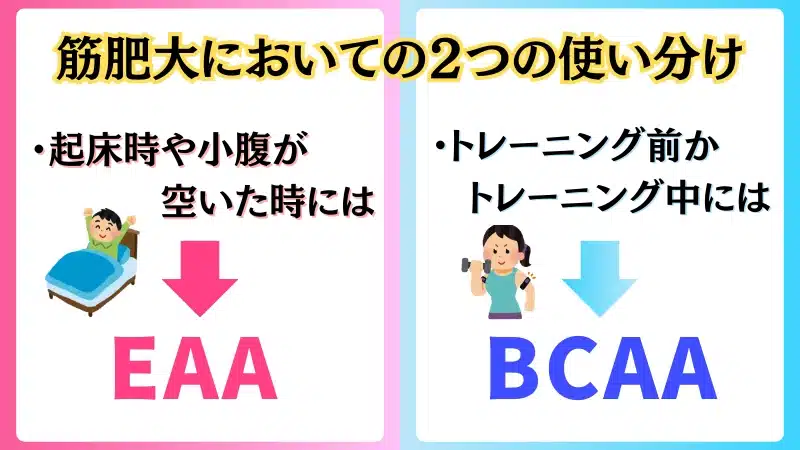 eaa bcaa 違い