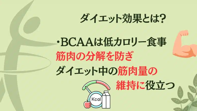 bcaa ダイエット 効果