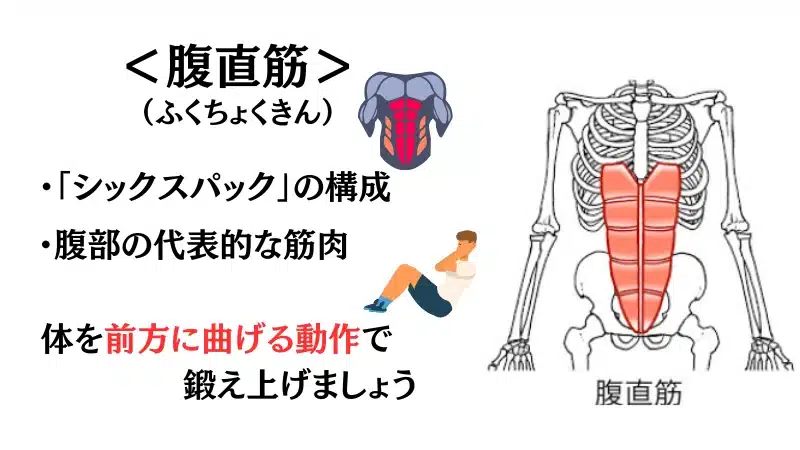 筋 トレ 腹筋