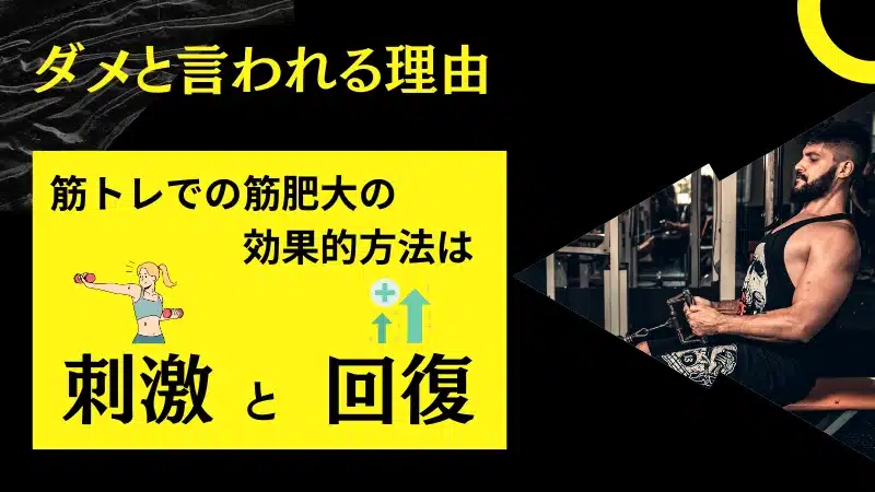 筋 トレ 毎日