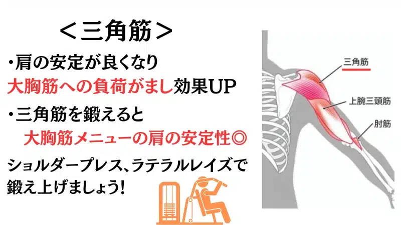 筋 トレ 胸 筋
