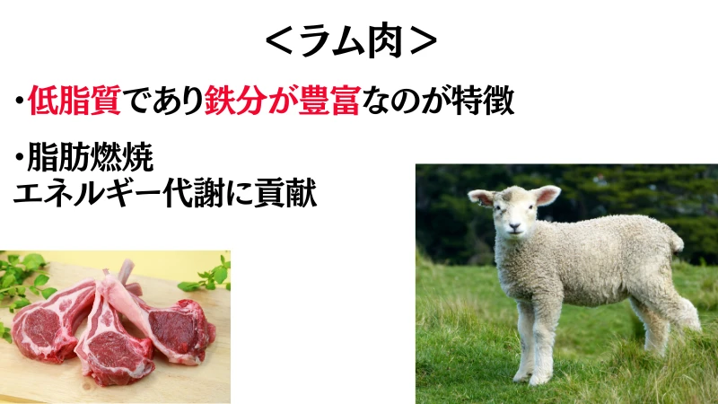 筋 トレ 焼肉