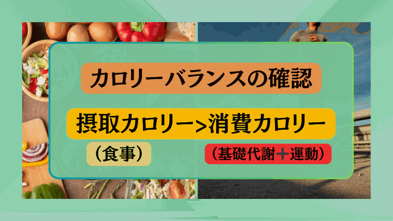 ボディビルダー 食事