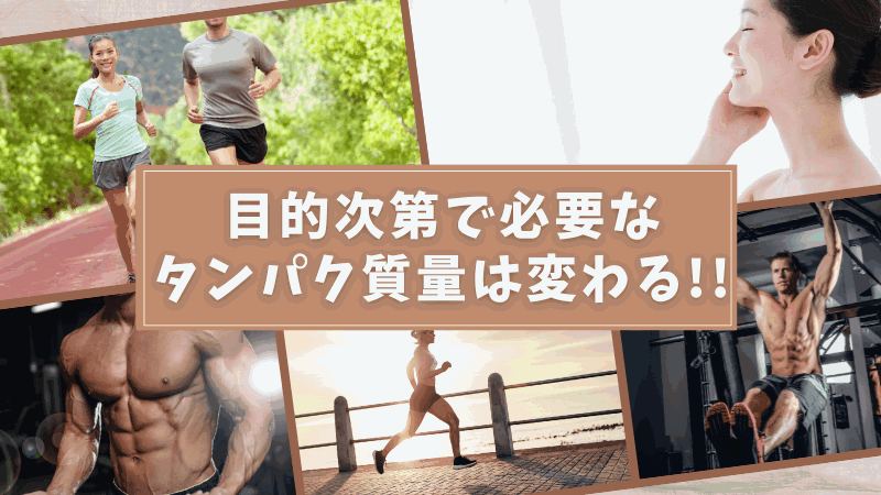 マイプロテイン タンパク質 量