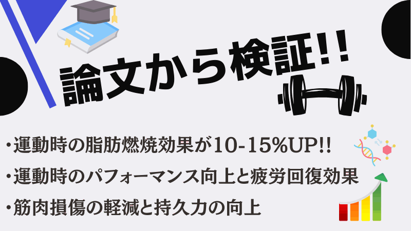 マイプロテイン カルニチン