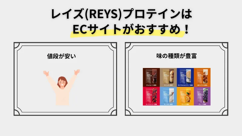 レイズプロテイン 販売店