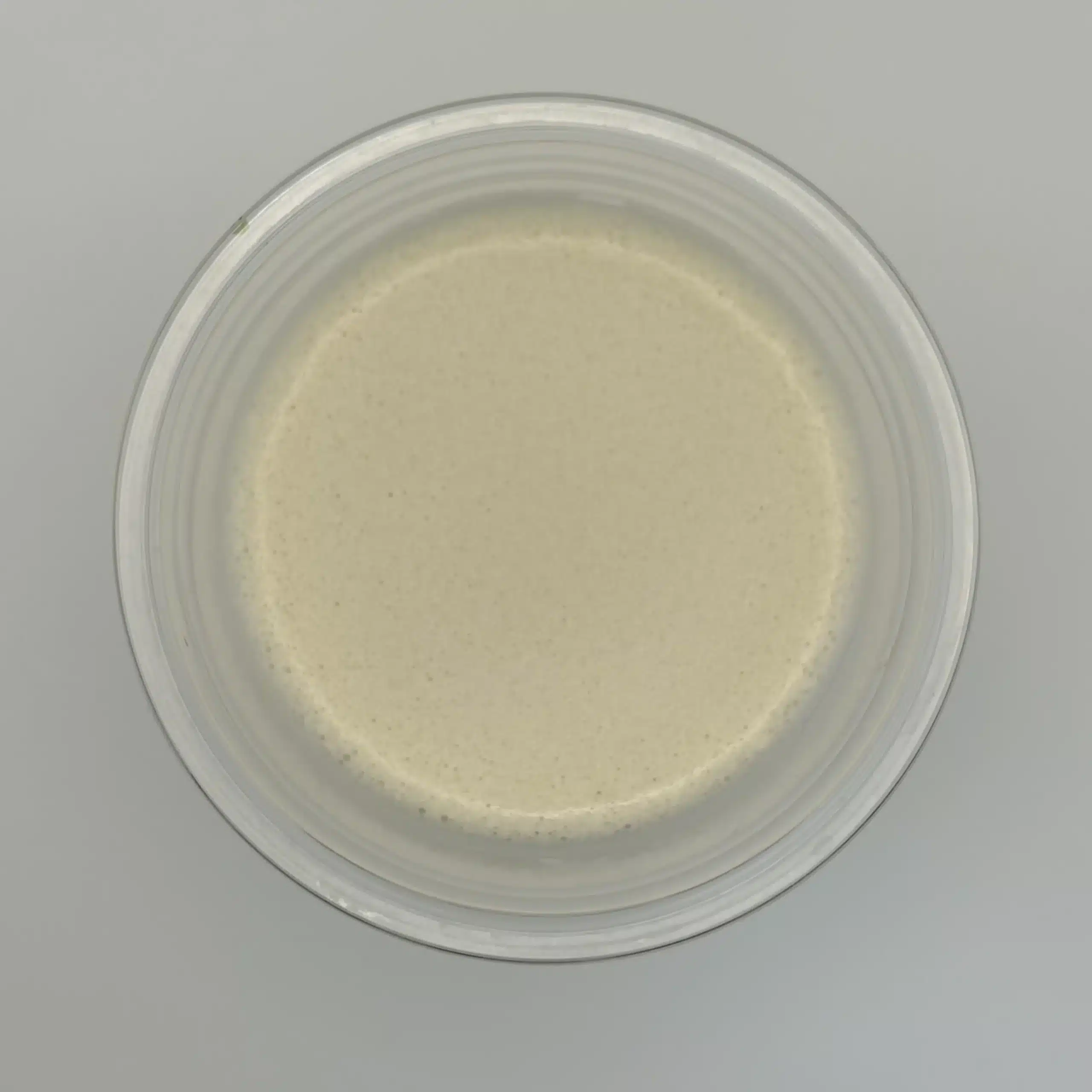 ザバス ソイプロテイン