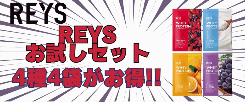レイズ プロテイン お 試し