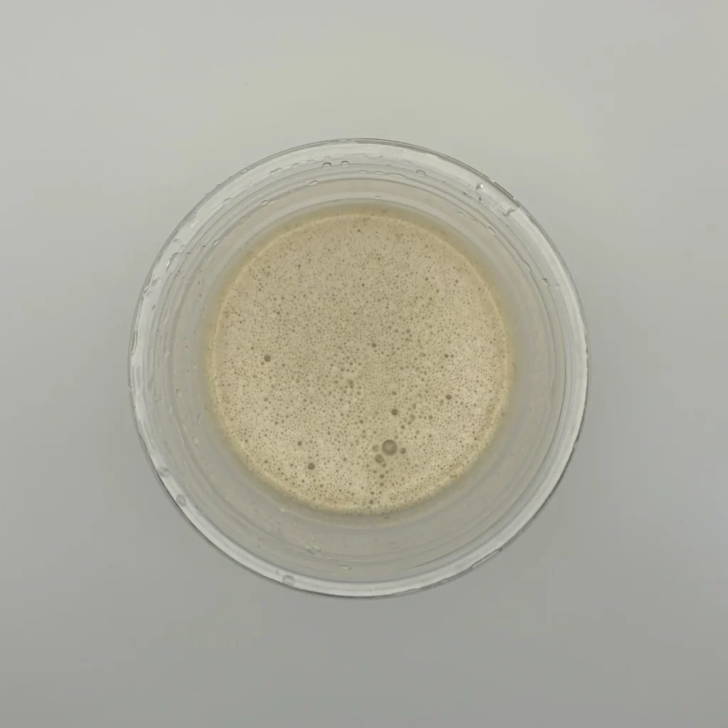 レイズ プロテイン お試し カフェオレ風味