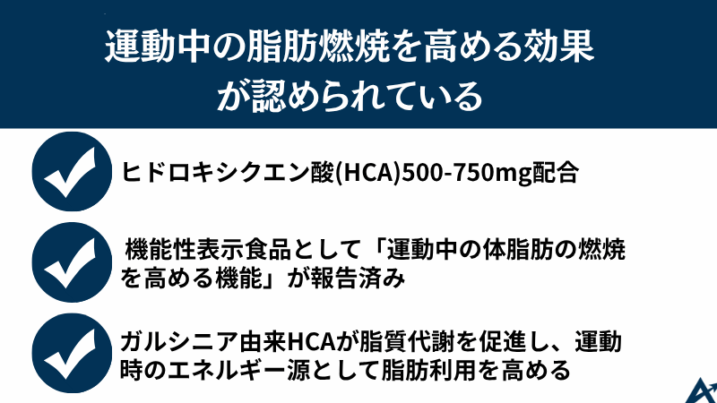 パワー プロダクション エキストラ バーナー