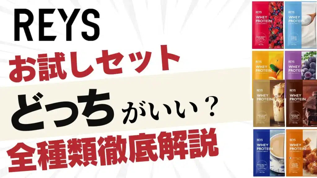 レイズ プロテイン お試し