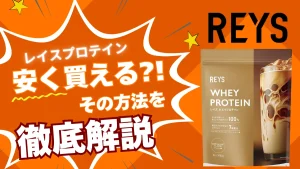 レイズプロテイン 安く買う方法