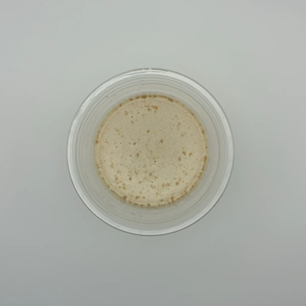 レイズ プロテイン お試し 塩キャラメル風味