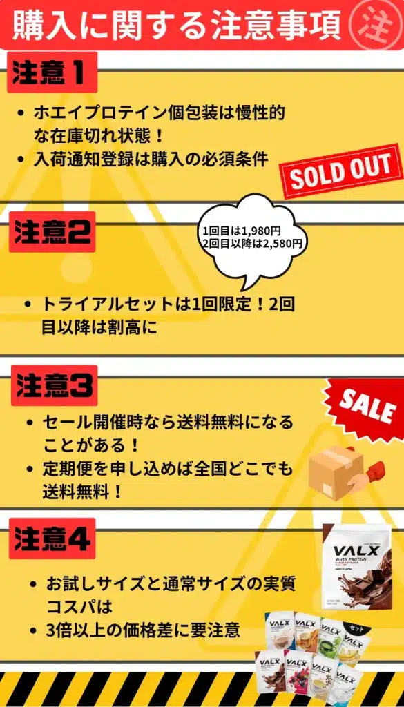 レイズ プロテイン お試し