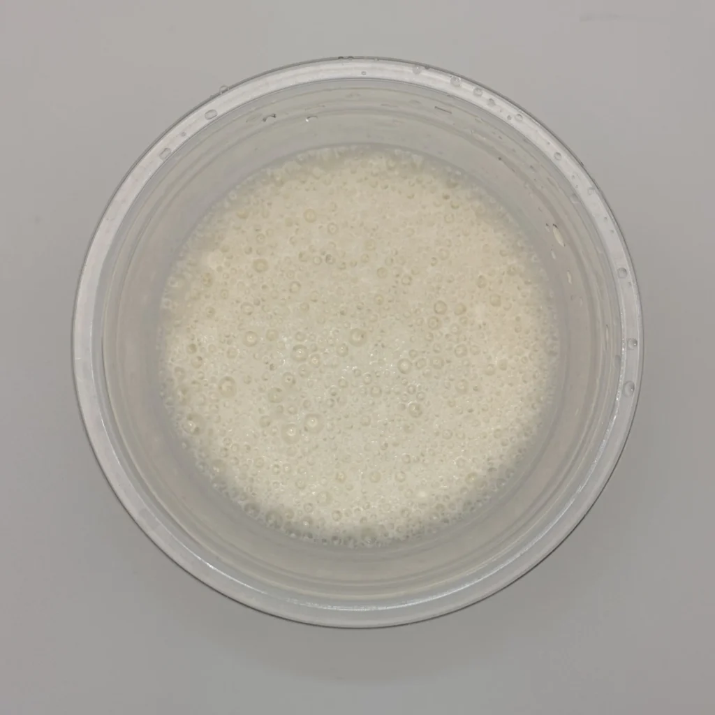 EZOBOLIC WPC100% 北海道メロン風味