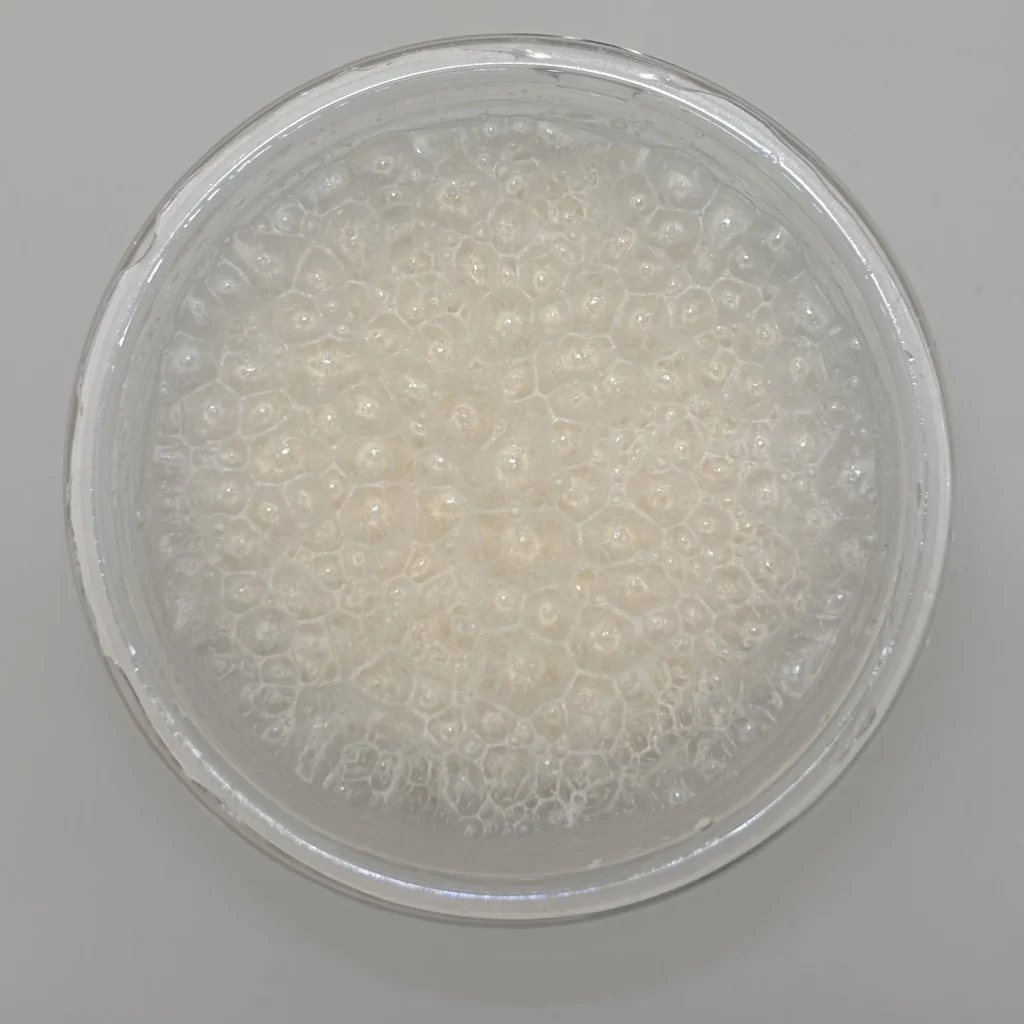 EZOBOLIC WPC100% ベリーヨーグルト風味